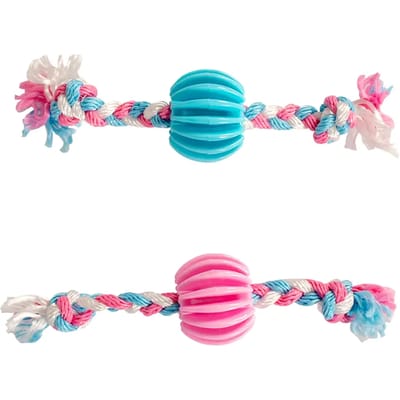 Duvoplus - Speelgoed Voor Dieren - Hond - Dogtoy Puppy Tpr Snackbal Met Nylon Touw 30cm - 1st