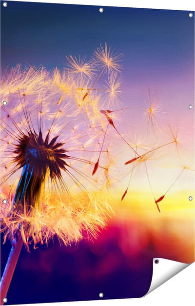 Gards Tuinposter Paardenbloem tijdens Zonsondergang - 90x120 cm - Tuindoek - Tuindecoratie - Wanddecoratie buiten - Tuinschilderij