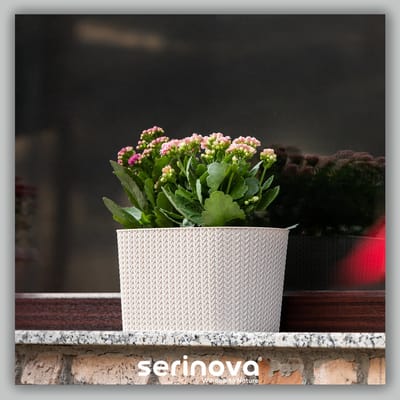 1+1 ovale bloempot - beige sierpot met wateropvang - 30cm - bloembak