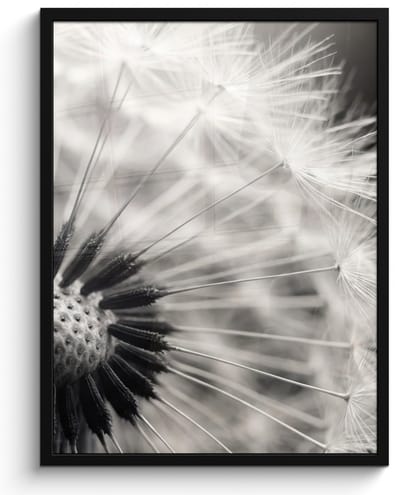 Poster in lijst - Fotolijst 60x80 cm - Posters - Paardenbloem - Zwart - Wit - Posterlijst zwart - Decoratie - Wanddecoratie woonkamer - Muurdecoratie slaapkamer