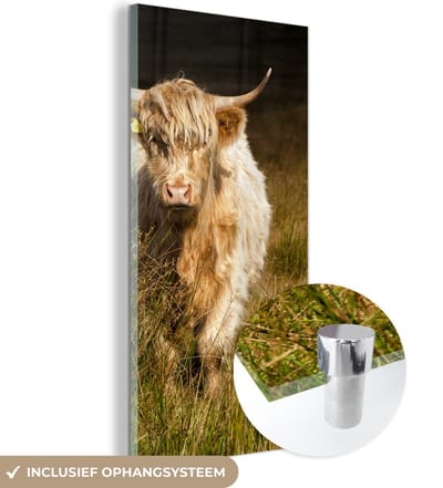 MuchoWow® Glasschilderij 20x40 cm - Schilderij acrylglas - Schotse Hooglander - Licht - Gras - Dieren - Foto op glas - Schilderijen