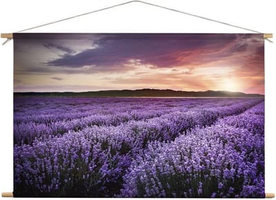 Veld met lavendel  | 60 x 40 CM | Natuur |Schilderij |Textieldoek | Textielposter | Wanddecoratie