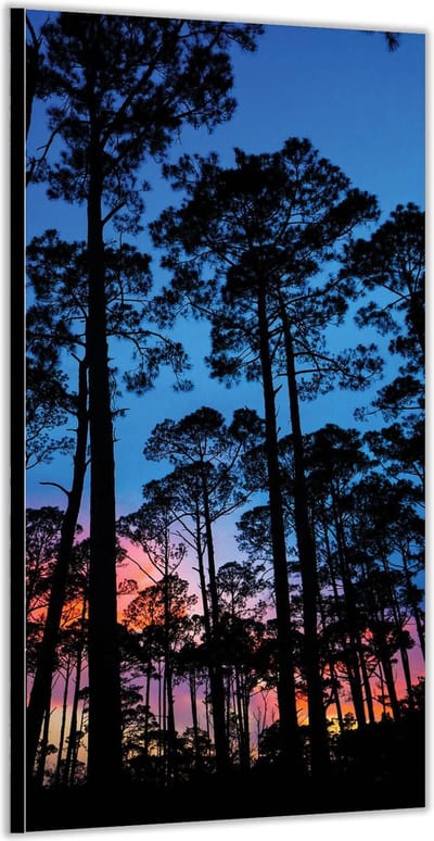 Dibond –Bos tegen de Avond– 100x200cm Foto op Aluminium (Wanddecoratie van metaal)