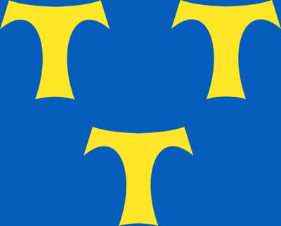 Vlag Lede 200x300cm