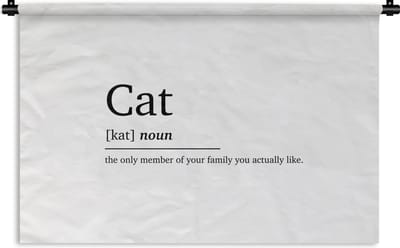 Wandkleed - Wanddoek - Cat - Spreuken - Quotes - Kat definitie - Woordenboek - 180x120 cm - Wandtapijt