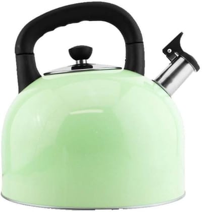Waterkoker Fornuis - RVS Ketel - Water Koken - Luid Fluit Signaal - 5 Liter - Groen