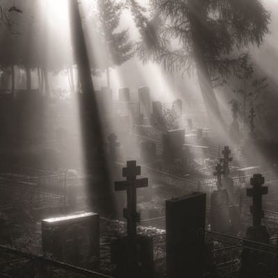 Oneirogen - Veni Nox Anima (LP) (Limited Edition) (Coloured Vinyl)