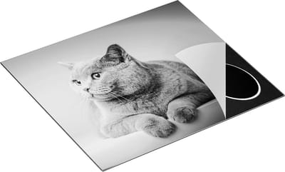 Chefcare Inductie Beschermer Grijze Kat met Oranje Ogen - Zwart Wit - 60x50 cm - Afdekplaat Inductie - Kookplaat Beschermer - Inductie Mat