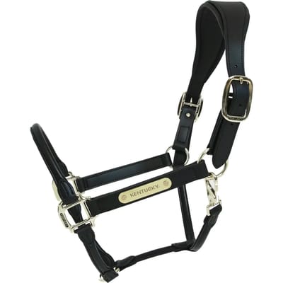 Kentucky Horsewear - Halster - Anatomische Leder - Zwart - Full