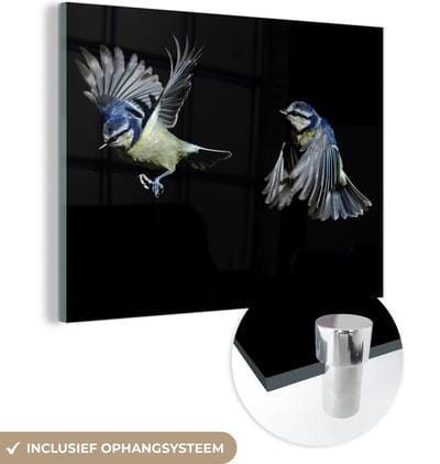 MuchoWow® Glasschilderij 160x120 cm - Schilderij acrylglas - Vogel - Veren - Portret - Foto op glas - Schilderijen