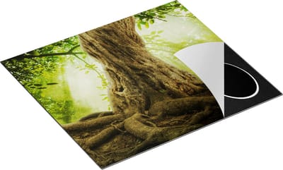 Chefcare Inductie Beschermer Grote Boom in het Bos met Wortels - 60x50 cm - Afdekplaat Inductie - Kookplaat Beschermer - Inductie Mat