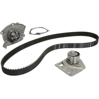 Schaeffler Ina Waterpomp+distributieriem set INA 530 0442 30