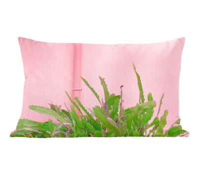 Sierkussens - Kussentjes Woonkamer - 50x30 cm - Plant - Zomer - Roze