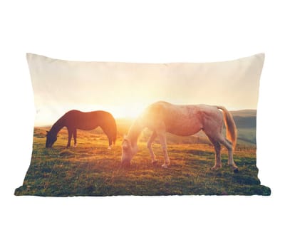 Sierkussens - Kussentjes Woonkamer - 50x30 cm - Paarden - Zon - Dieren