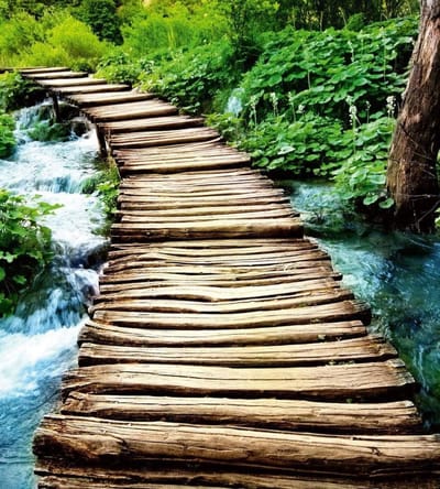 Fotobehang - Boardwalk 225x250cm - Vliesbehang