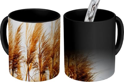 Magische Mok - Foto op Warmte Mokken - Koffiemok - Pampasgras - Zon - Gras - Magic Mok - Beker - 350 ML - Theemok