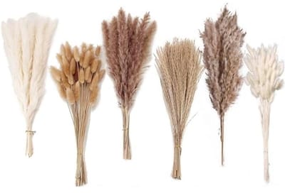 Droog Pampasgrasboeket - 120 Stuks Gedroogde Bloemen voor Bohemian Decoratie en Tafeldecoratie