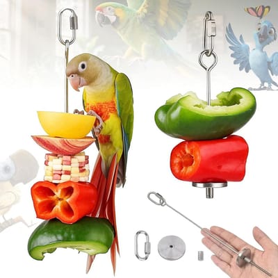 Vogelvoer Spies voor Vogels en Kippen - Roestvrij Stalen Parrot Skewer Voerhulpmiddel - Set van 2 Stuks - Geschikt voor Papegaaien en Kleine Dieren
