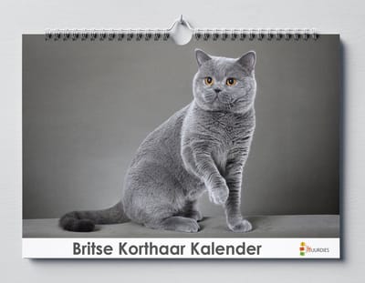 Britste Korthaar verjaardagskalender | 35 X 24CM | Verjaardagskalender katten soort de Britse Korthaar | Verjaardagskalender Volwassenen