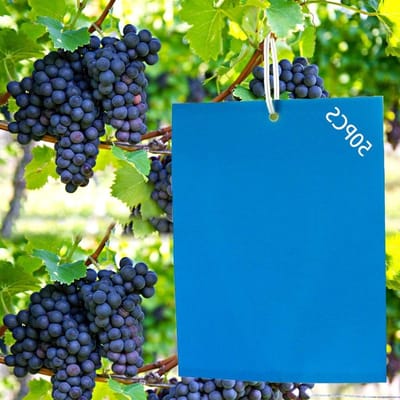 Set van 50 Blauwe Plakplaten voor Thrips en Rijstplanthoppers - Duurzame Decoratieve Plakborden voor Tuinieren, Plantenbescherming en Ongediertebestrijding