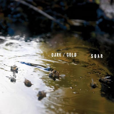 Dark/Gold