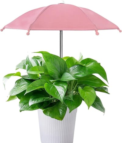 Parasol voor planten - Zonwering buiten - Bescherming tegen zon - UV-bescherming - 35 x 27 cm - Zoals afgebeeld
