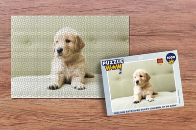 Puzzel Golden Retriever puppy liggend op de bank - Legpuzzel - Puzzel 1000 stukjes volwassenen