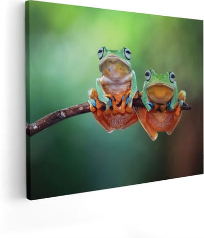 Artaza Canvas Schilderij Dieren - 50x40 cm - Wanddecoratie Kikker - Muurdecoratie Jungle - Kamer Accessoires