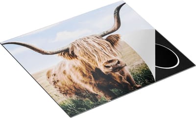 Chefcare Inductie Beschermer Schotse Hooglander Koe in de Wei - 60x50 cm - Afdekplaat Inductie - Kookplaat Beschermer - Inductie Mat