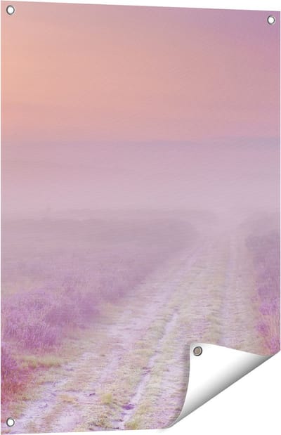 Gards Tuinposter Pad in de Weide tijdens de Mist - 60x80 cm - Tuindoek - Tuindecoratie - Wanddecoratie buiten - Tuinschilderij