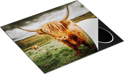 Chefcare Inductie Beschermer Schotse Hooglanders in de Weide met Wolken - 60x50 cm - Afdekplaat Inductie - Kookplaat Beschermer - Inductie Mat