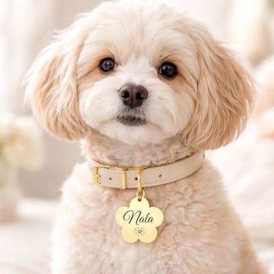 Hondenpenning Bloem | Goud | Huisdierpenning Bloem | Bloemenpenning voor honden | RVS Bloem inclusief graveren | Petshop Seven