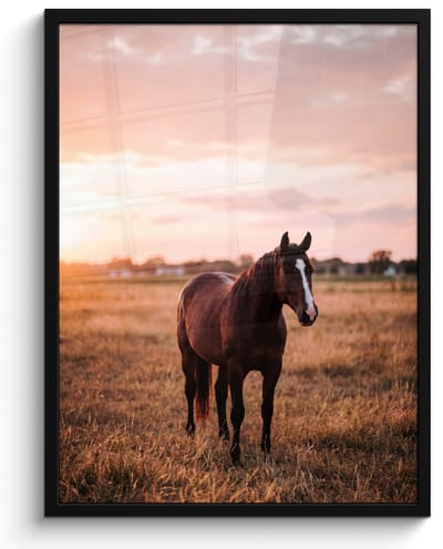 Poster in lijst - Fotolijst 60x80 cm - Posters - Paard - Zonsondergang - Bruin - Posterlijst zwart - Decoratie - Wanddecoratie woonkamer - Muurdecoratie slaapkamer