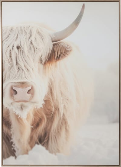 J-Line wanddecoratie yak hoofd - hout/polyresin - wit/beige