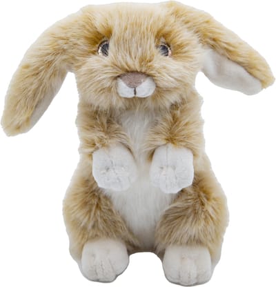 Cute since 1999 - Knuffel Konijn - Zittend Beige Konijn Speelgoed- Baby knuffel - 21cm