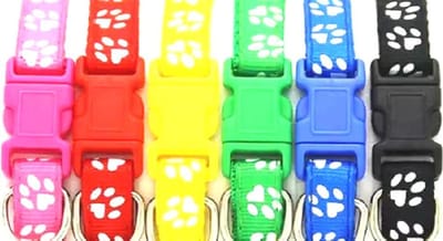 Puppy halsbandjes | id nest bandjes fokker | Set van 12 kleuren | 18-33cm