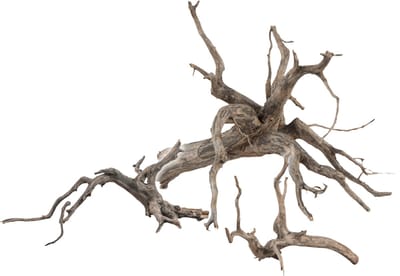 Sera Scaper Root M - 30-35CM