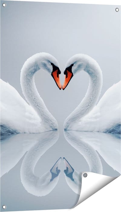 Gards Tuinposter Twee Zwanen in een Hart Vorm - 60x90 cm - Tuindoek - Tuindecoratie - Wanddecoratie buiten - Tuinschilderij