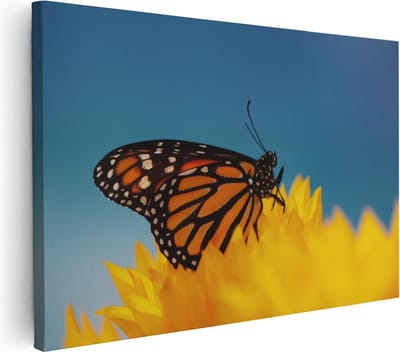 Artaza Canvas Schilderij Monarchvlinder - 30x20 cm - Klein - Wanddecoratie Bloem - Schilderijen Op Canvas Natuur - Geel