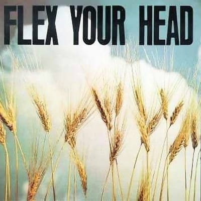Various Artists - Flex Your Head (LP)
