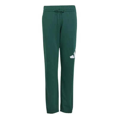 Adidas Essentials Big Logo French Terry Joggers Groen 9-10 Years Kinderen