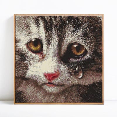 5D DIY diamant schilderij dier kat volledige ronde strass foto borduurwerk 30x30 black