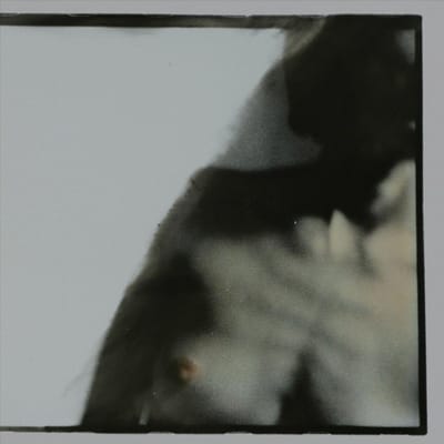 Duster 69 - Angel King