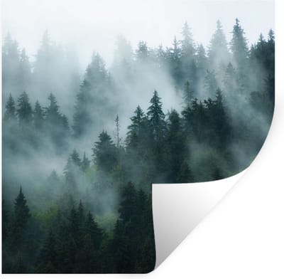 Muurstickers - Sticker Folie - Mist - Bomen - Bos - 100x100 cm - Plakfolie - Muurstickers Kinderkamer - Zelfklevend Behang XXL - Zelfklevend behangpapier - Stickerfolie