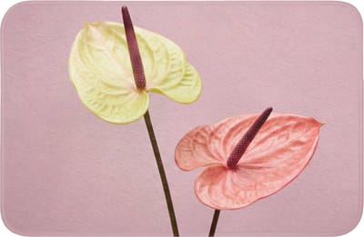 Badmat 60x40 cm - Antislip - Bloemen - Anthuriums - Geel - Roze - Badmatten voor badkamer - Badkamermat - Douchemat - Badkamer mat