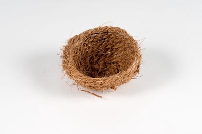 Cocosnest middel - Nestmateriaal - Nesten - Binsenastrilde (Neochmia ruficauda) - Oranjekaakje (Estrilda melpoda)