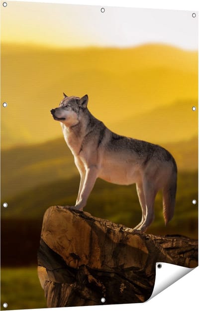 Gards Tuinposter Wolf op een Rots met een Heuvel Landschap - 90x120 cm - Tuindoek - Tuindecoratie - Wanddecoratie buiten - Tuinschilderij