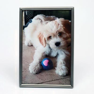 AL - Mat Zilver - Fotolijst - Bol - 5 x 8 cm