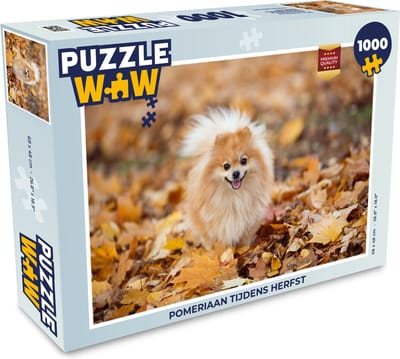 Puzzel Pomeriaan tijdens herfst - Legpuzzel - Puzzel 1000 stukjes volwassenen