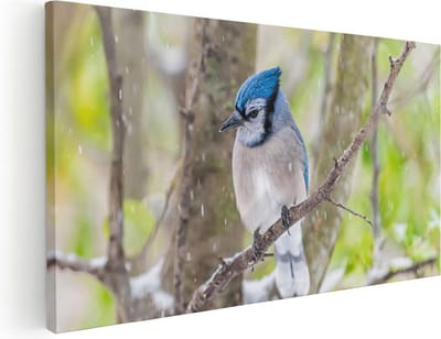 Artaza Canvas Schilderij Vogel - 40x20 cm - Klein - Wanddecoratie Vogels - Muurdecoratie Boom - Schilderijen Op Canvas Woonkamer - Blauw